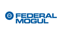 Federal Mogul